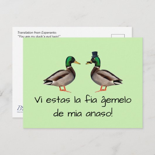 エスペラント: VI estasのlaのfia gemeloo de miaのanaso! ポストカード (正面/裏面)