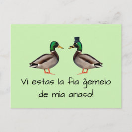 エスペラント: VI estasのlaのfia gemeloo de miaのanaso! ポストカード
