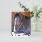 エズモシュ ポストカード (スタンド正面)