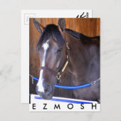 エズモッシュ ポストカード (正面/裏面)