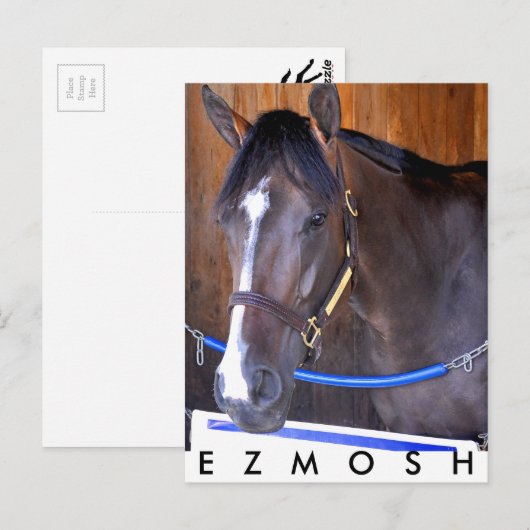 エズモッシュ ポストカード (正面/裏面)