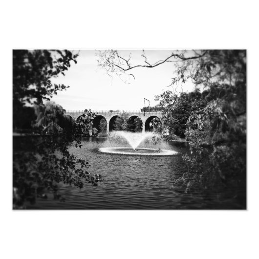 エセックス・チェルムスフォード・ヴィアドゥクト フォトプリント            (正面)