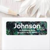 エセヴェリア多肉症をテーマにした住所 シール (インサイチュ)