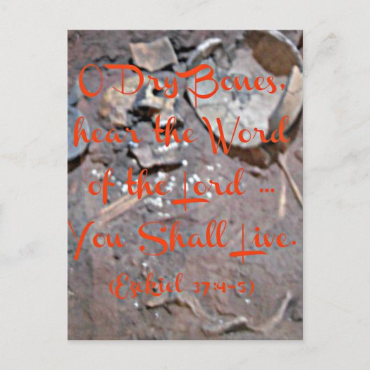 エゼキエル・バイブルOドライボーン ポストカード (正面)