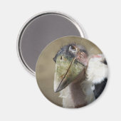 エゾウオ マグネット (正面/裏面)