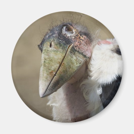 エゾウオ マグネット (正面)