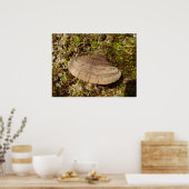 エゾマッシュルームのポスター ポスター (キッチン)