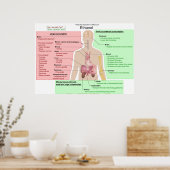 エタノール消化不良チャートの長期的影響 ポスター (キッチン)