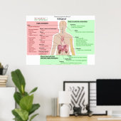エタノール消化不良チャートの長期的影響 ポスター (ホームオフィス)