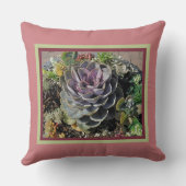 「エチェベリアとその他の多肉類」 クッション (裏面)