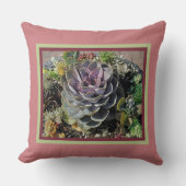 「エチェベリアとその他の多肉類」 クッション (正面)