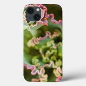 エチェベリアの芽 Case-Mate iPhoneケース (裏面)