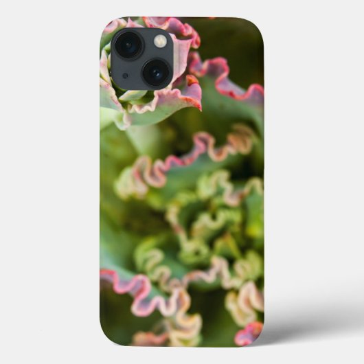 エチェベリアの芽 Case-Mate iPhoneケース (裏面)