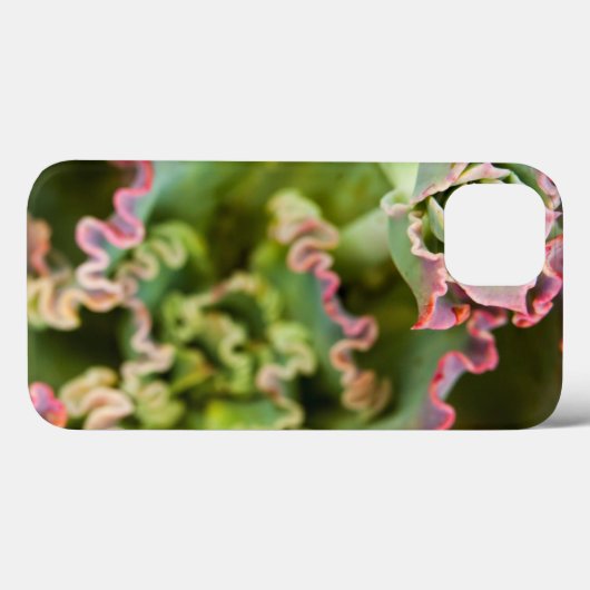 エチェベリアの芽 Case-Mate iPhoneケース (裏面 (横))