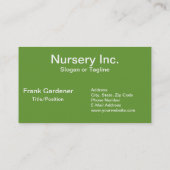 エチェベリア植物の緑多肉植物 名刺 (裏面)