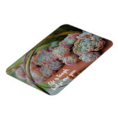 エチェリアバラ多肉食の生活は厳しい マグネット (左側)