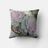 エチェヴェリア枕 クッション (裏面)