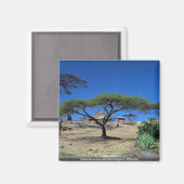 エチオピアのランガノ湖の湖畔の風景 マグネット (正面/裏面)