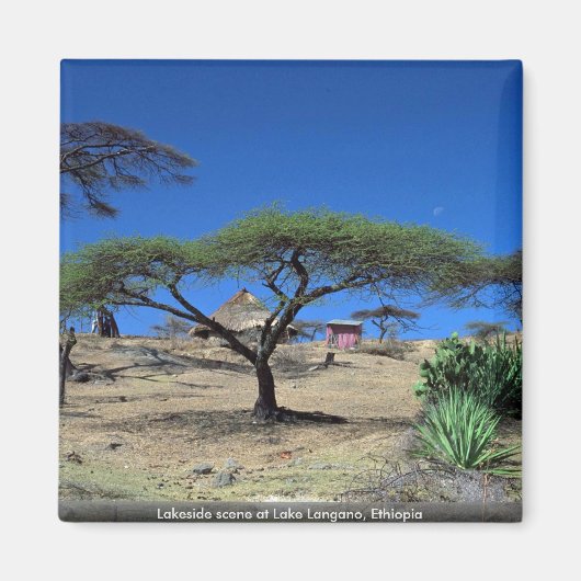 エチオピアのランガノ湖の湖畔の風景 マグネット (正面)