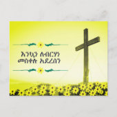 エチオピアメッケル シーズンポストカード (正面)