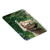 エチオピアライオン マグネット (右側)