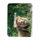 エチオピアライオン マグネット (縦)