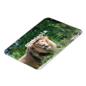 エチオピアライオン マグネット (左側)