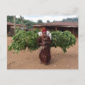 エチオピア女性5 ポストカード (正面)