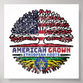 エチオピア米アメリカ合衆国アメリカ合衆国統一された州 ポスター (正面)