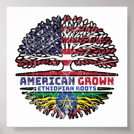 エチオピア米アメリカ合衆国アメリカ合衆国統一された州 ポスター (正面)