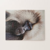 エチオピア,ジェラダバブーン ジグソーパズル (横)