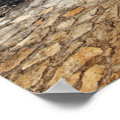 エックバラム遺跡 ポスター (角)