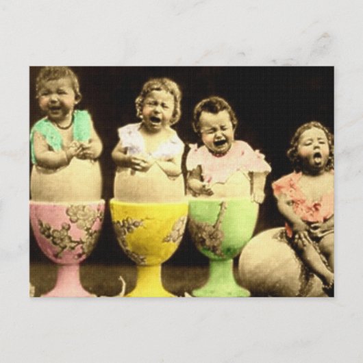 エッグカップベビー ポストカード (正面)