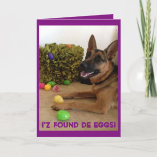 エッグハンター シーズンカード