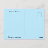 エッサウイラ、モロッコ |海辺の猫 ポストカード (裏面)