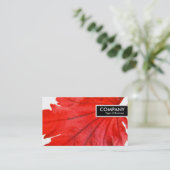 エッジラベル日本の – メープルリーフ 名刺 (スタンド正面)