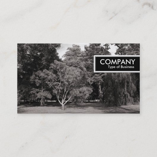 エッジラベル – 木、ビュートパーク、カーディフ – WarmBW 名刺 (正面)