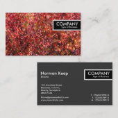 エッジラベル-紅葉 名刺 (正面/裏面)