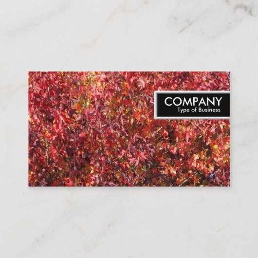 エッジラベル-紅葉 名刺 (正面)