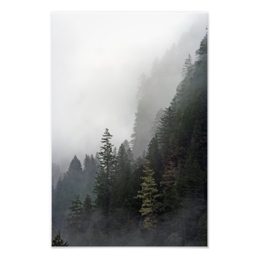 エッジ上の生活。 フォトプリント            (正面)