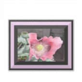 エッジ付きピンクポ縁どピー シール (正面)