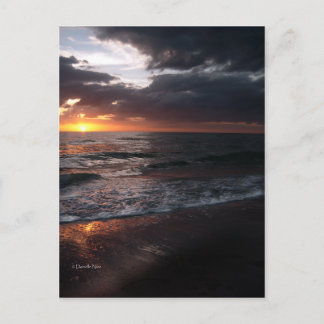 エッジ ポストカード