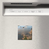 エッセシボ川、ガイアナで最も長い川、2 マグネット (インサイチュ (食洗機))