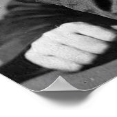 エッセンシャルウォルト・ホイットマンポートレート、年齢50 ポスター (角)