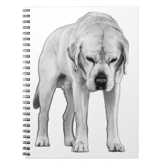 エッチングされた解決 ノートブック (正面)