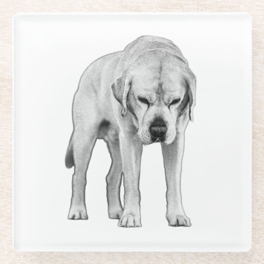 エッチング存在 ガラスコースター (正面)