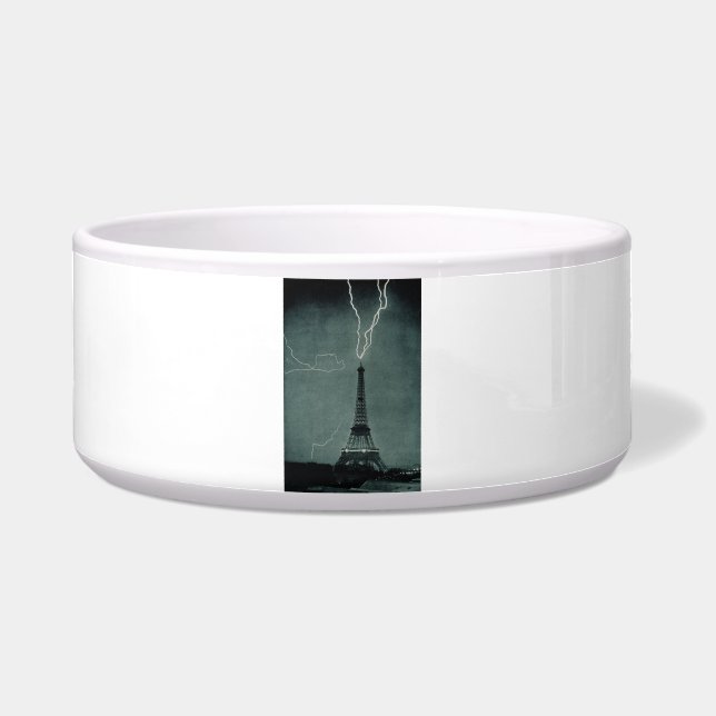エッフェルタワーが稲妻 ボウル (正面)