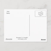 エッフェルタワー。フランス，パリ ポストカード (裏面)