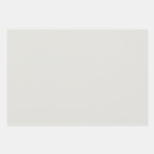 エテエレガントリアアイボリーミニマリストとシック ラッピングペーパーシート (正面2)