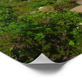 エディスクリークアット山レイニアナショナルパーク ポスター (角)